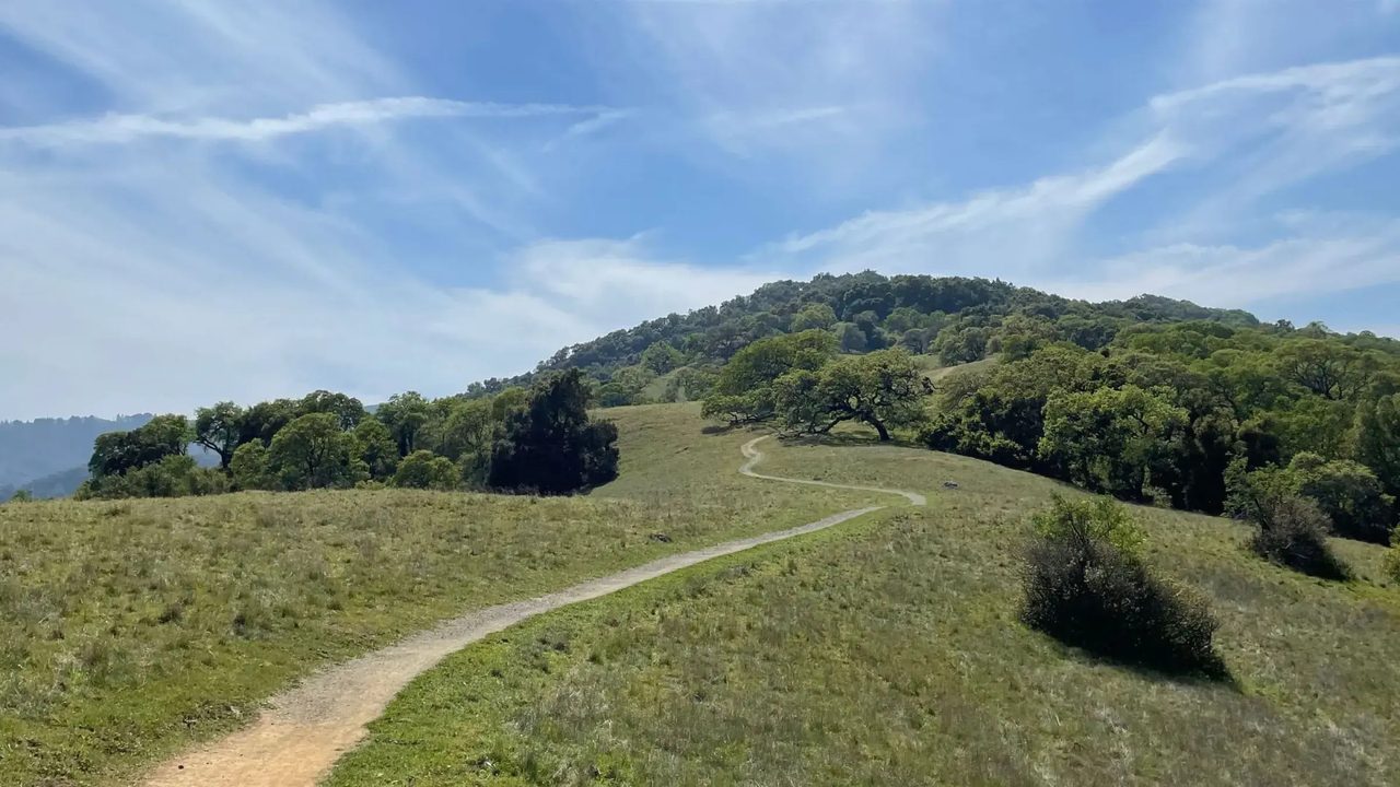 Open space hillside near West of Alameda, Atherton, California