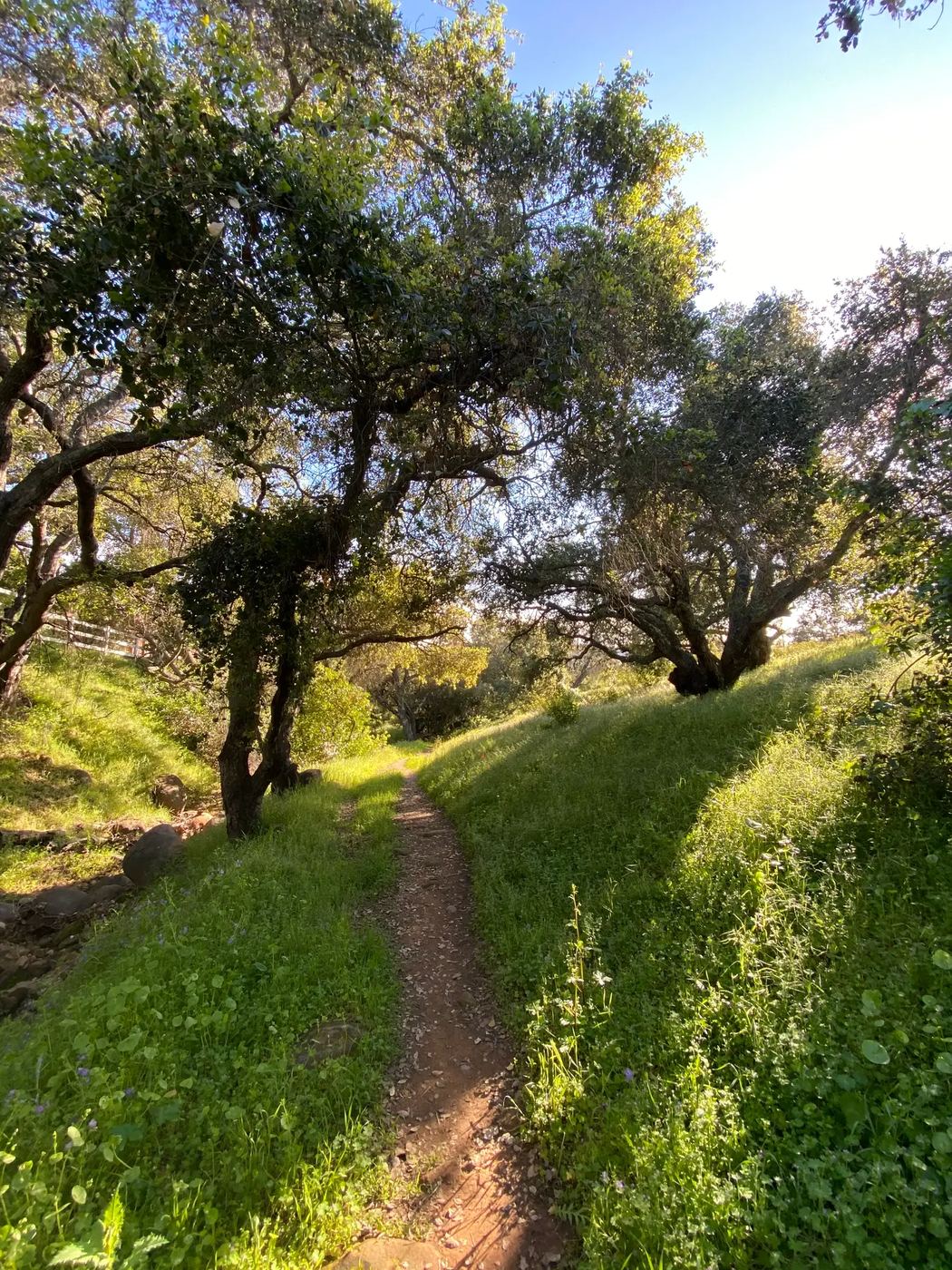 Trail in Belgatos Park near Belwood, Los Gatos with valley views
