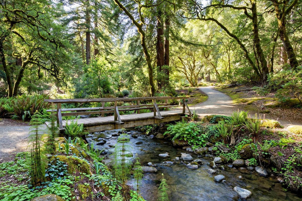 Creek-side park in Brookview, Saratoga