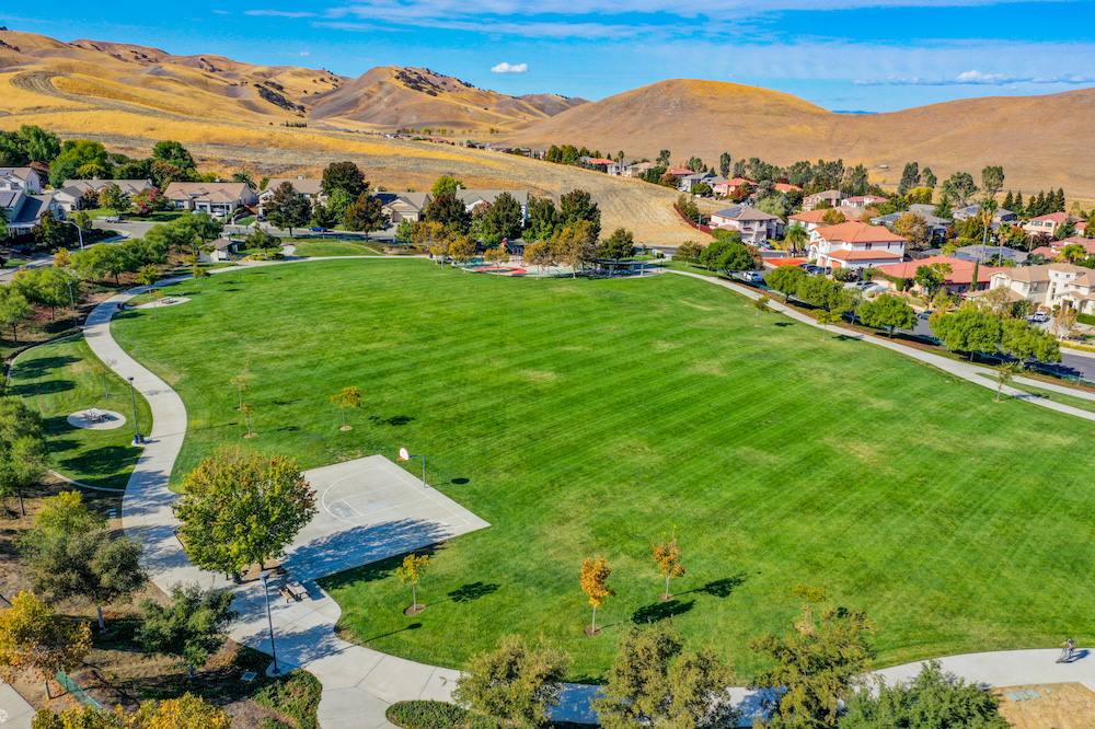 Green urban park lawn with mature trees in Cupertino