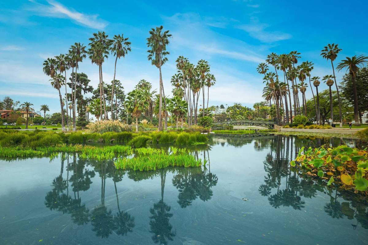 Tropical park with palm trees and pond in Sunnyvale