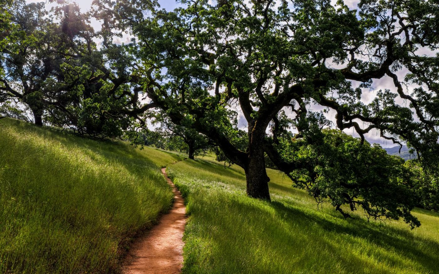 Hillside estate setting near Glen Una, Los Gatos with mountain views