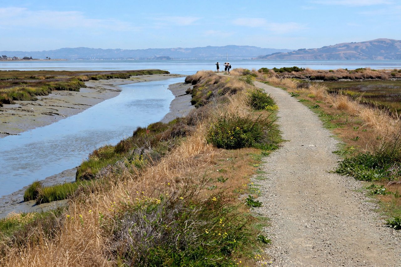 Guadalupe Slough trail with bay views, Sunnyvale California