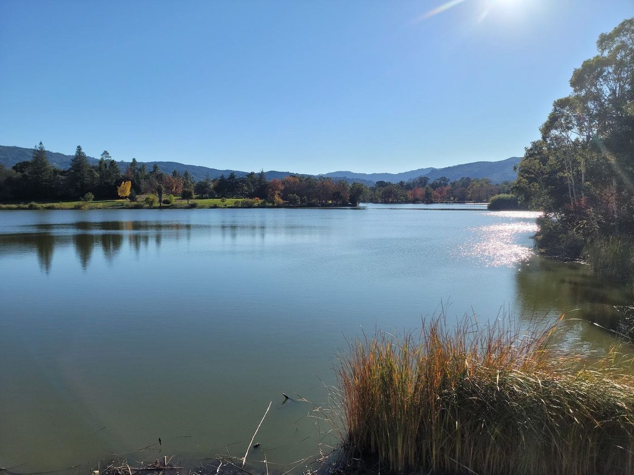 Town Plaza Park in Downtown Los Gatos, California