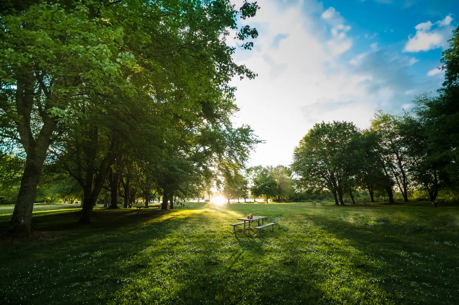Sunlit park with picnic tables in North Los Altos