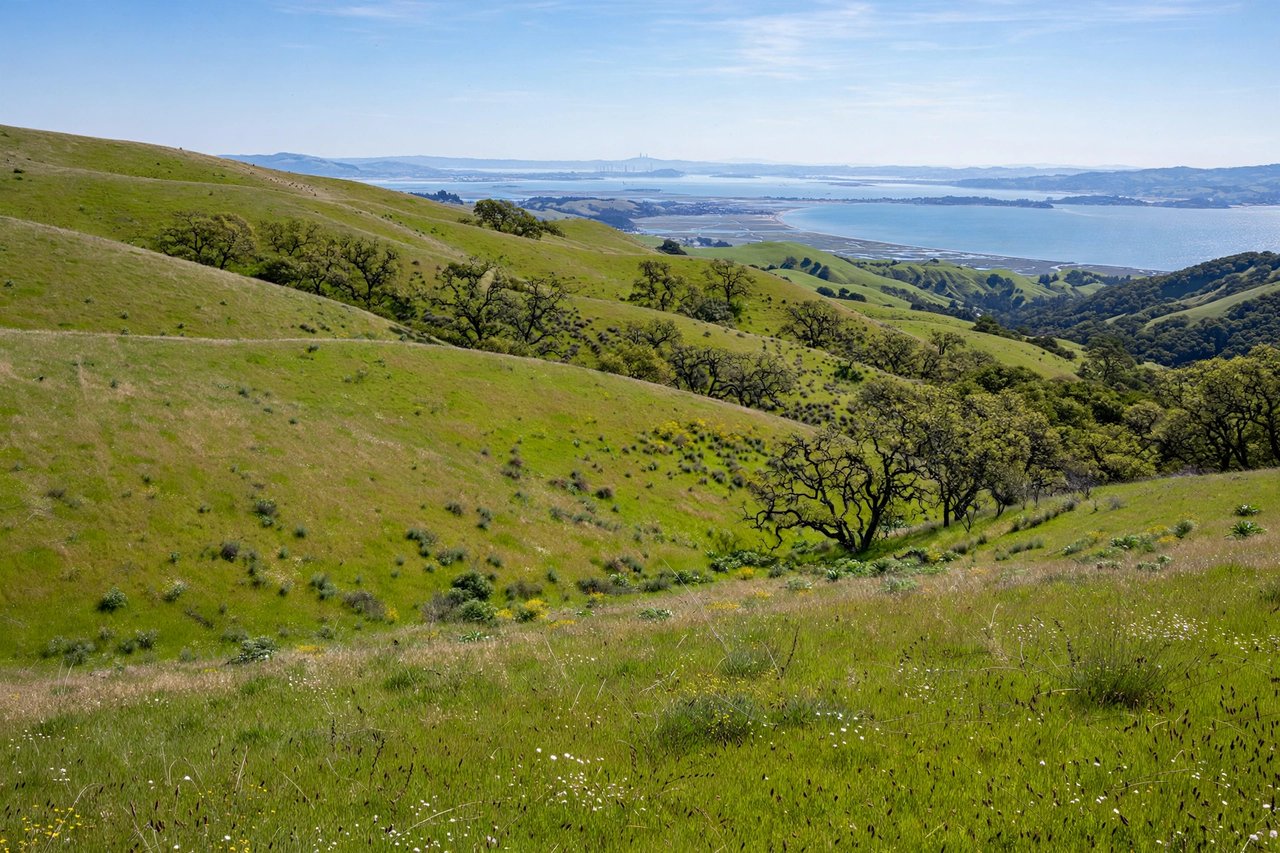Windy Hill rolling green hills with bay views, California