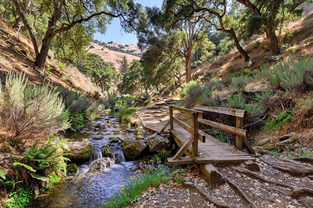 Big Canyon Park wooded canyon with creek trail, San Carlos California