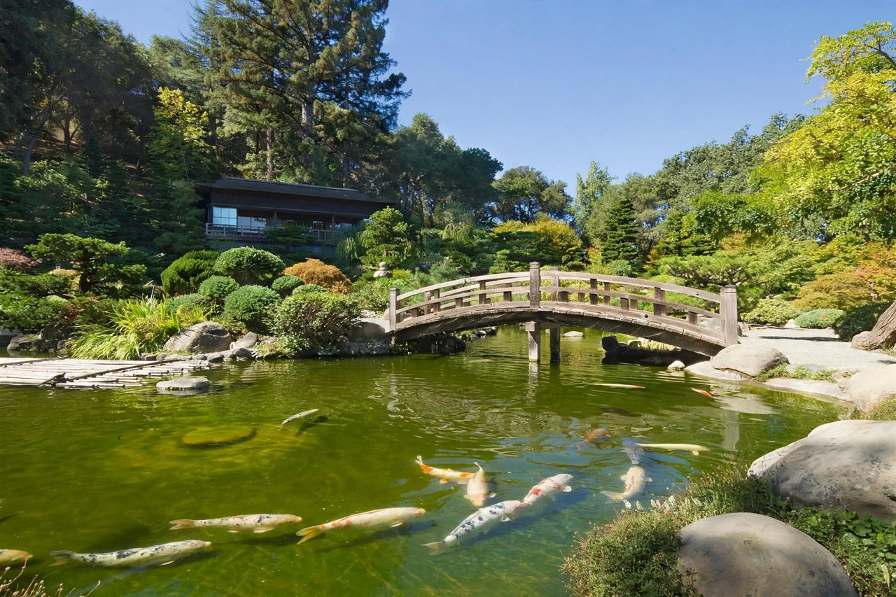 Hakone Gardens koi pond and moon bridge, Saratoga California
