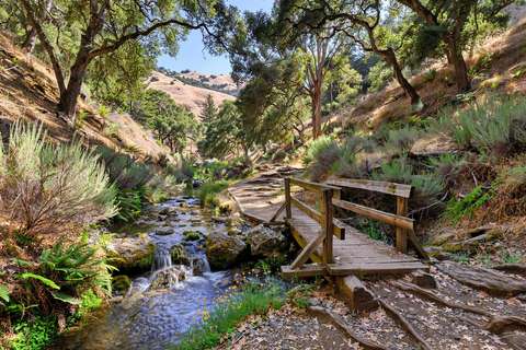Campbell home exterior with drought-smart landscaping