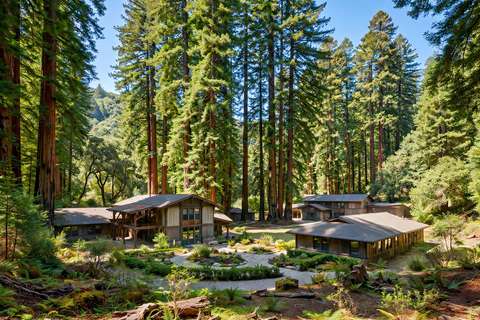 Hillside estate setting, Los Altos Hills