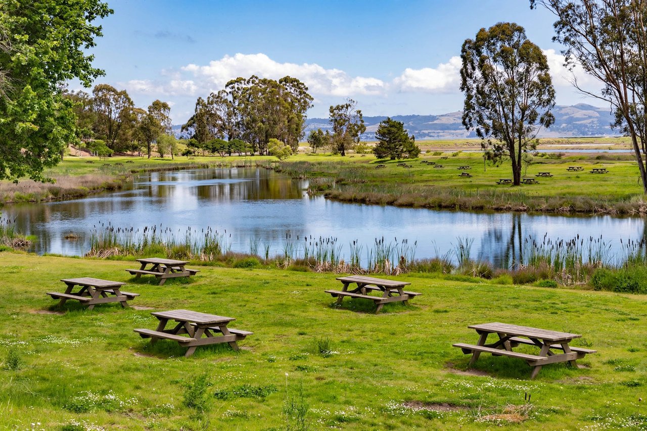 Baylands Park lake with lawns, Sunnyvale California