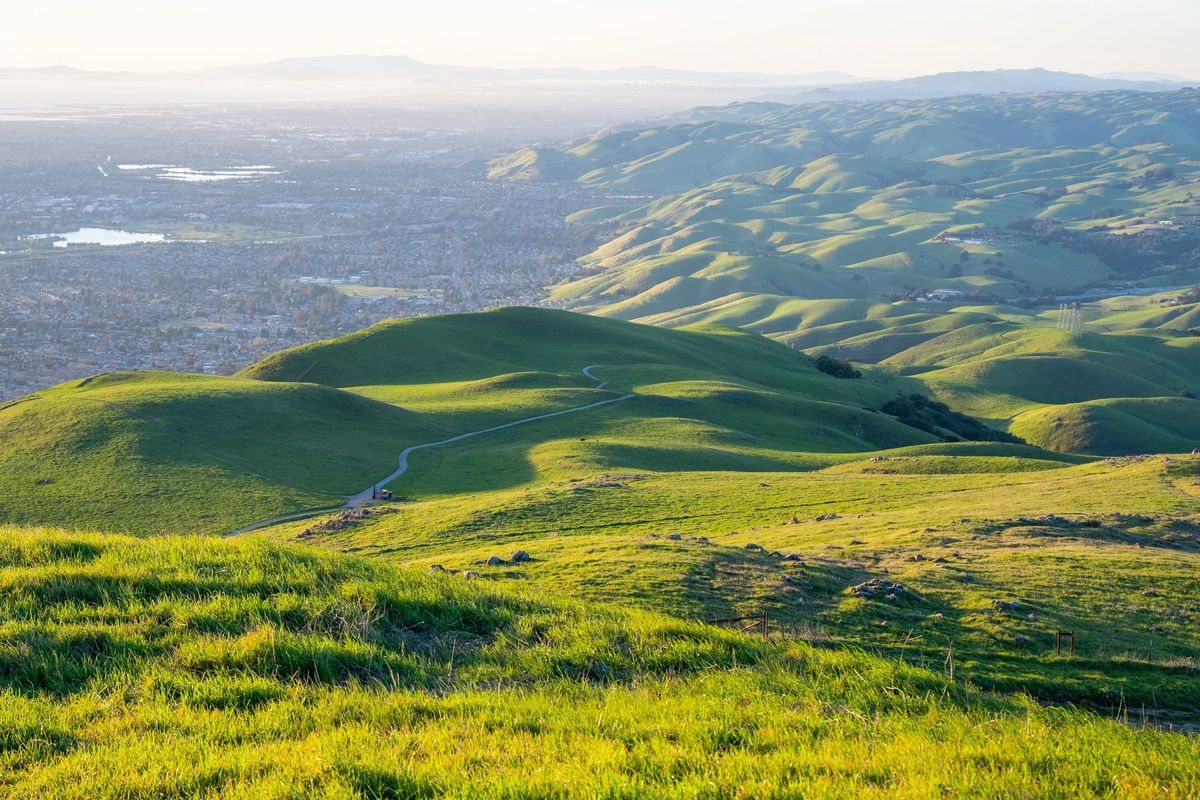 Golden grassland hiking trail with hills near Portola Valley