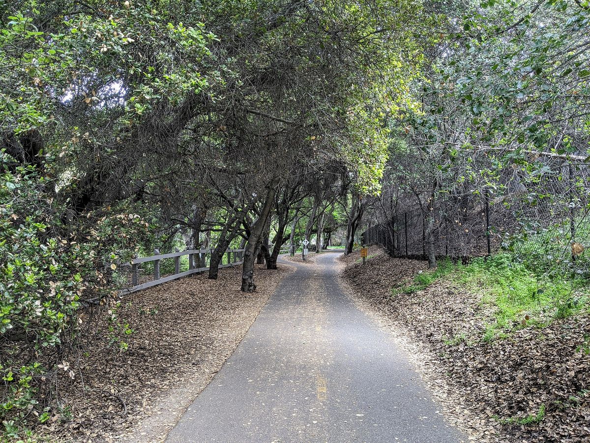 Stevens Creek Trail near Mountain View